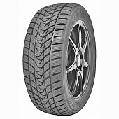 шина Delinte Winter WD1 205/55R16 91T в Москве
