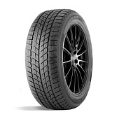 шина DoubleStar DW09 235/55R20 102H в Москве