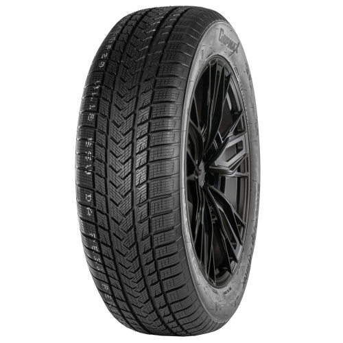 GRIPMAX SureGrip eWinter 215/40R17 87V XL BSW