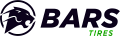 модели шин шины bars в Москве